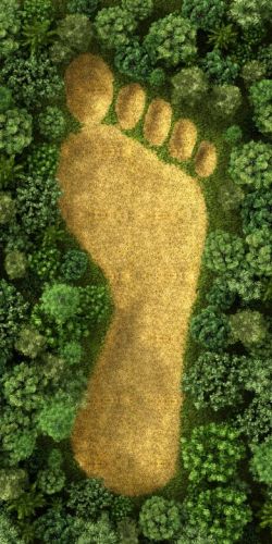 Carbon Footprint