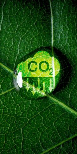 Decarbonizzazione